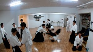 fhd0013-mov_20170107_215443-820