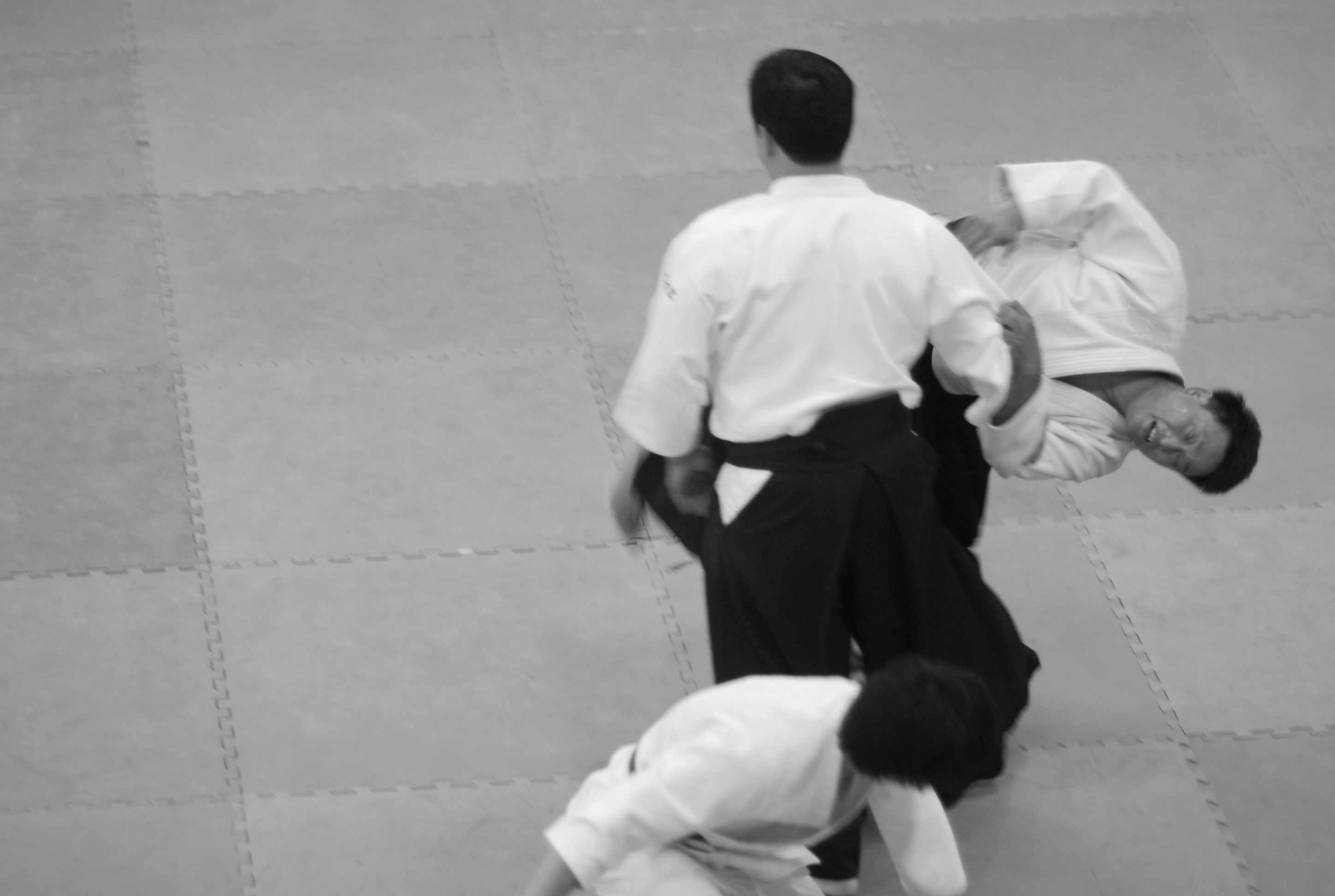 합기도(Aikido)의 운족과 품격