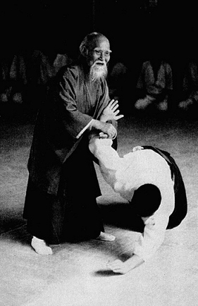 합기도는 무도변혁의 길