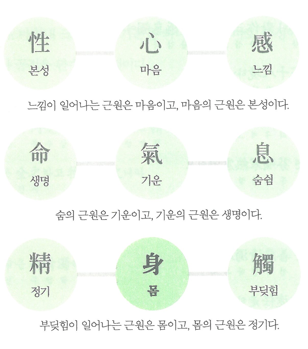 사이비 합기도 단체의 무리수 - 『삼일신고』는 그런 게 아니란 말입니다! (5)