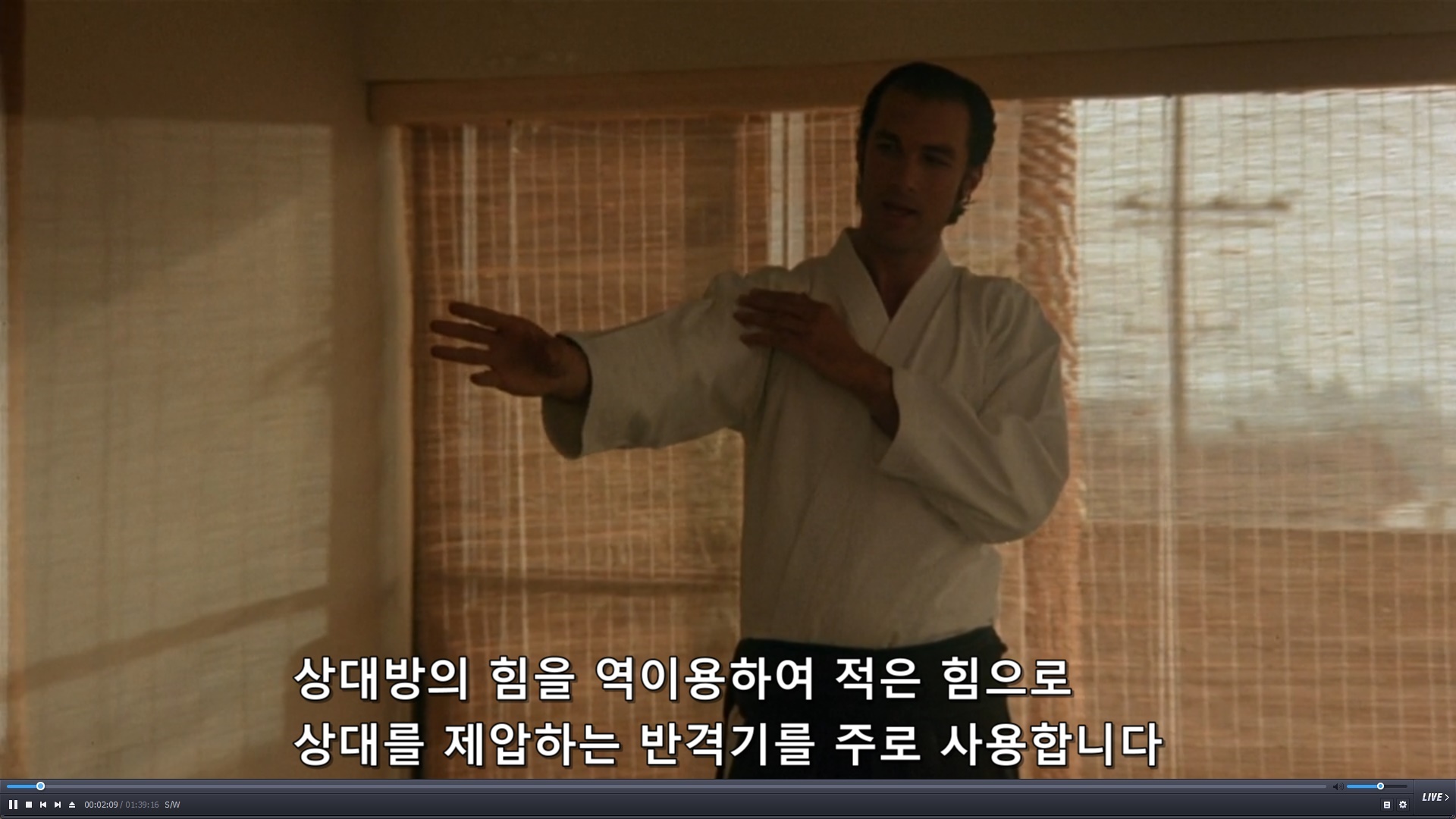 [영상]스티븐 시갈 전성기 수련모습