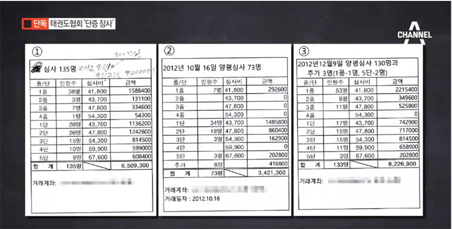 한국무술, 단증발행의 구조적 문제