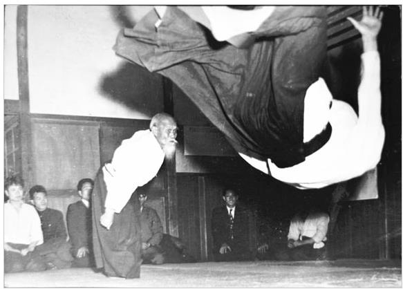 합기도(Aikido) 기원과 기술의 특징