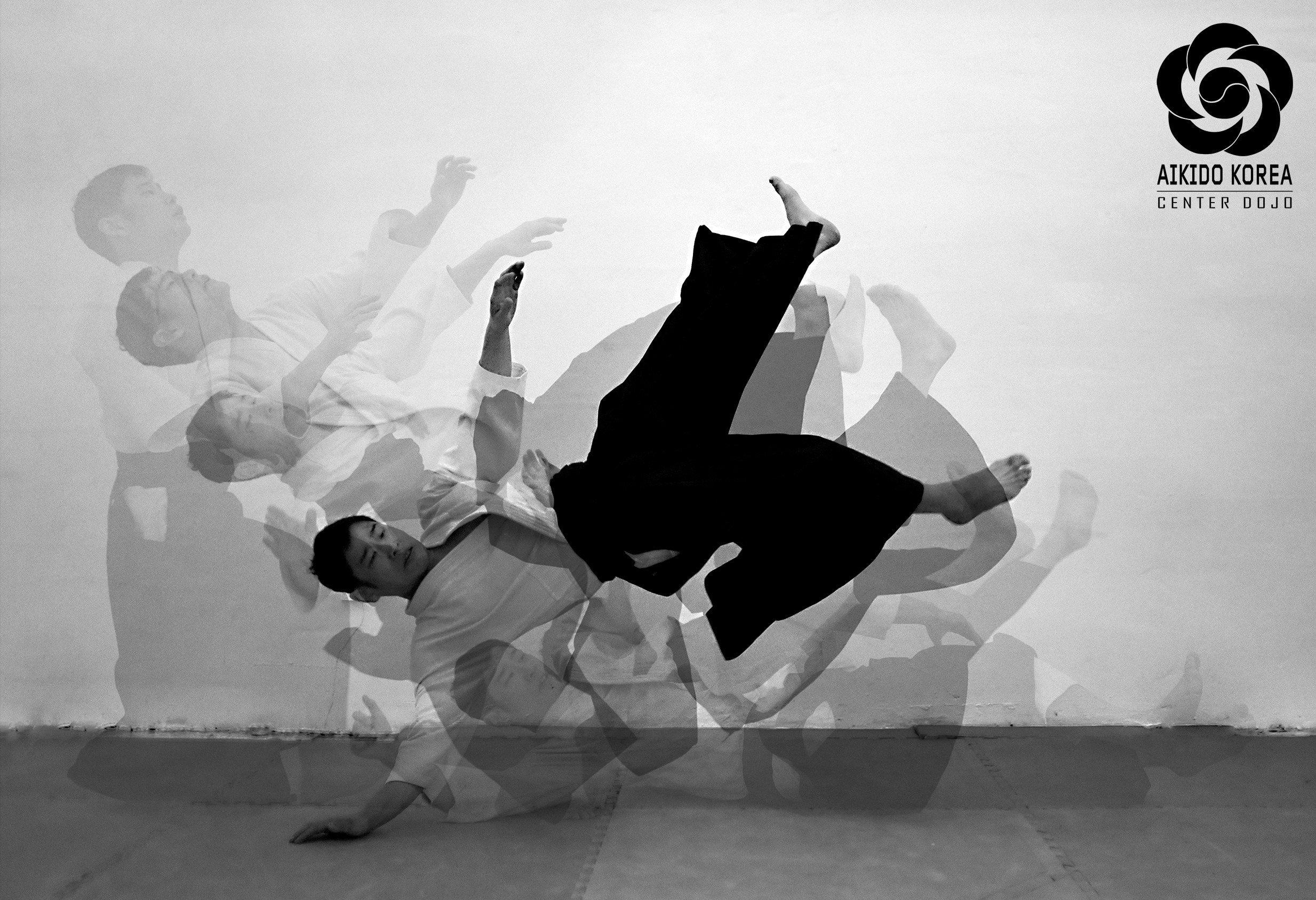 [영상]합기도(Aikido) 수신법