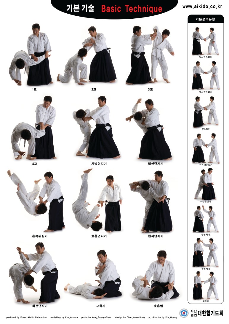 타무술과 구별되는 합기도 기본기