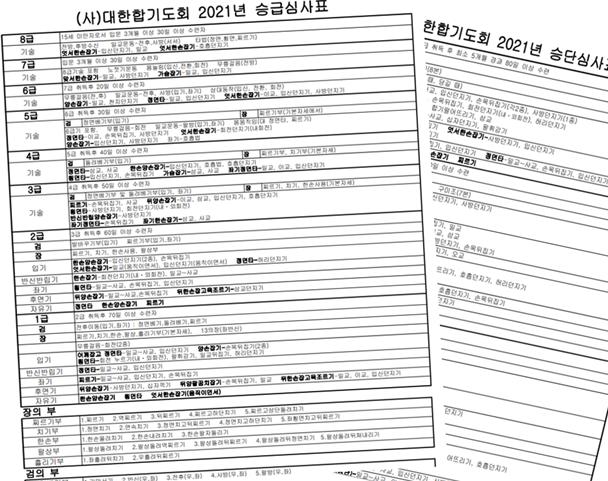대한합기도회 영상회의 실시
