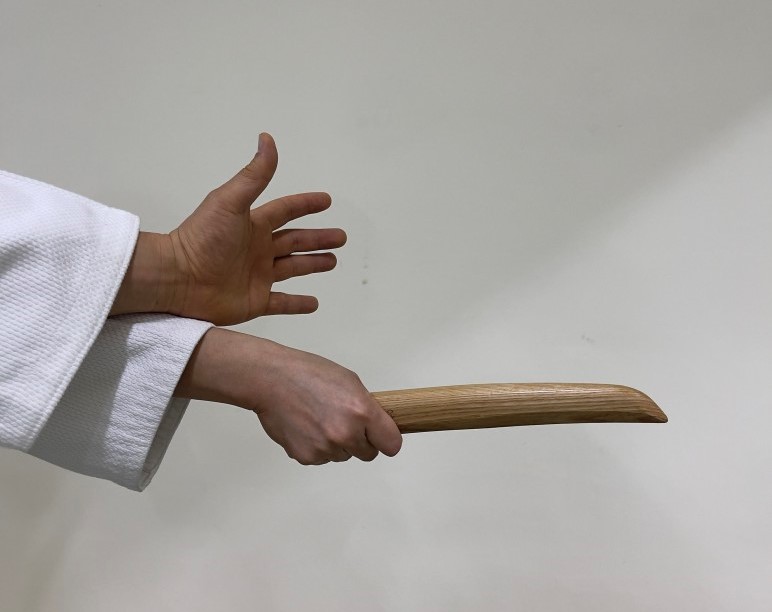 [영상]단도취하기