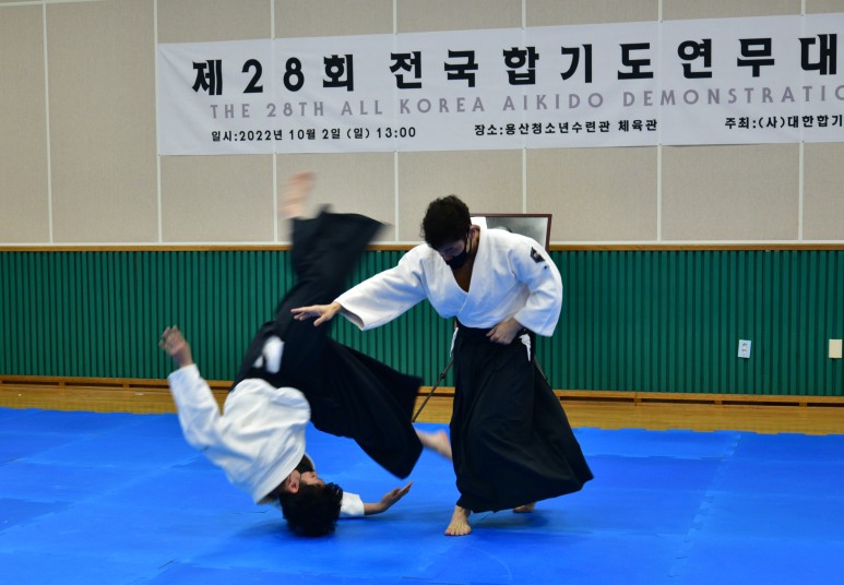 [영상]제28회 전국합기도연무대회 윤준환 5단 연무영상
